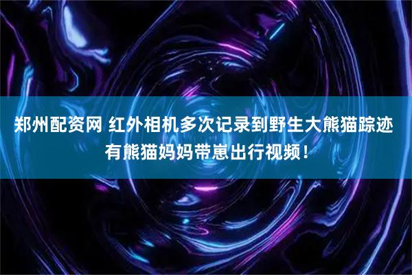 郑州配资网 红外相机多次记录到野生大熊猫踪迹 有熊猫妈妈带崽出行视频！