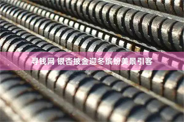 寻钱网 银杏披金迎冬缤纷美景引客