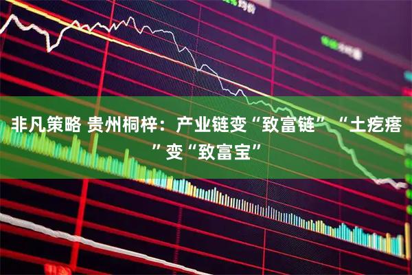 非凡策略 贵州桐梓：产业链变“致富链” “土疙瘩”变“致富宝”