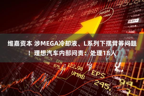 维嘉资本 涉MEGA冷却液、L系列下摆臂等问题！理想汽车内部问责：处理18人