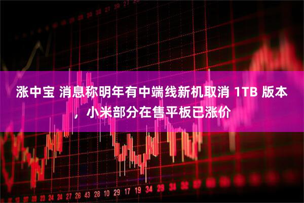 涨中宝 消息称明年有中端线新机取消 1TB 版本，小米部分在售平板已涨价