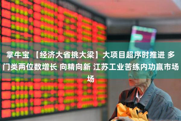 掌牛宝 【经济大省挑大梁】大项目超序时推进 多门类两位数增长 向精向新 江苏工业苦练内功赢市场